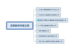軟件開發(fā)外包公司有哪些