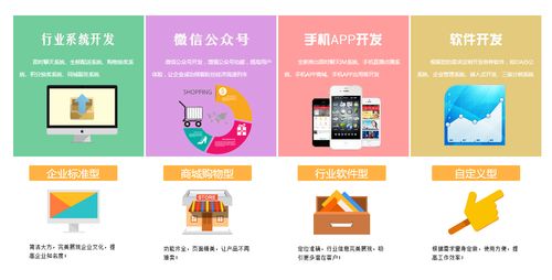 廣西有哪些軟件開發(fā)公司 軟件外包一般都要走什么流程