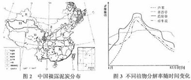 服務(wù)外包的正確認(rèn)知與發(fā)展趨勢